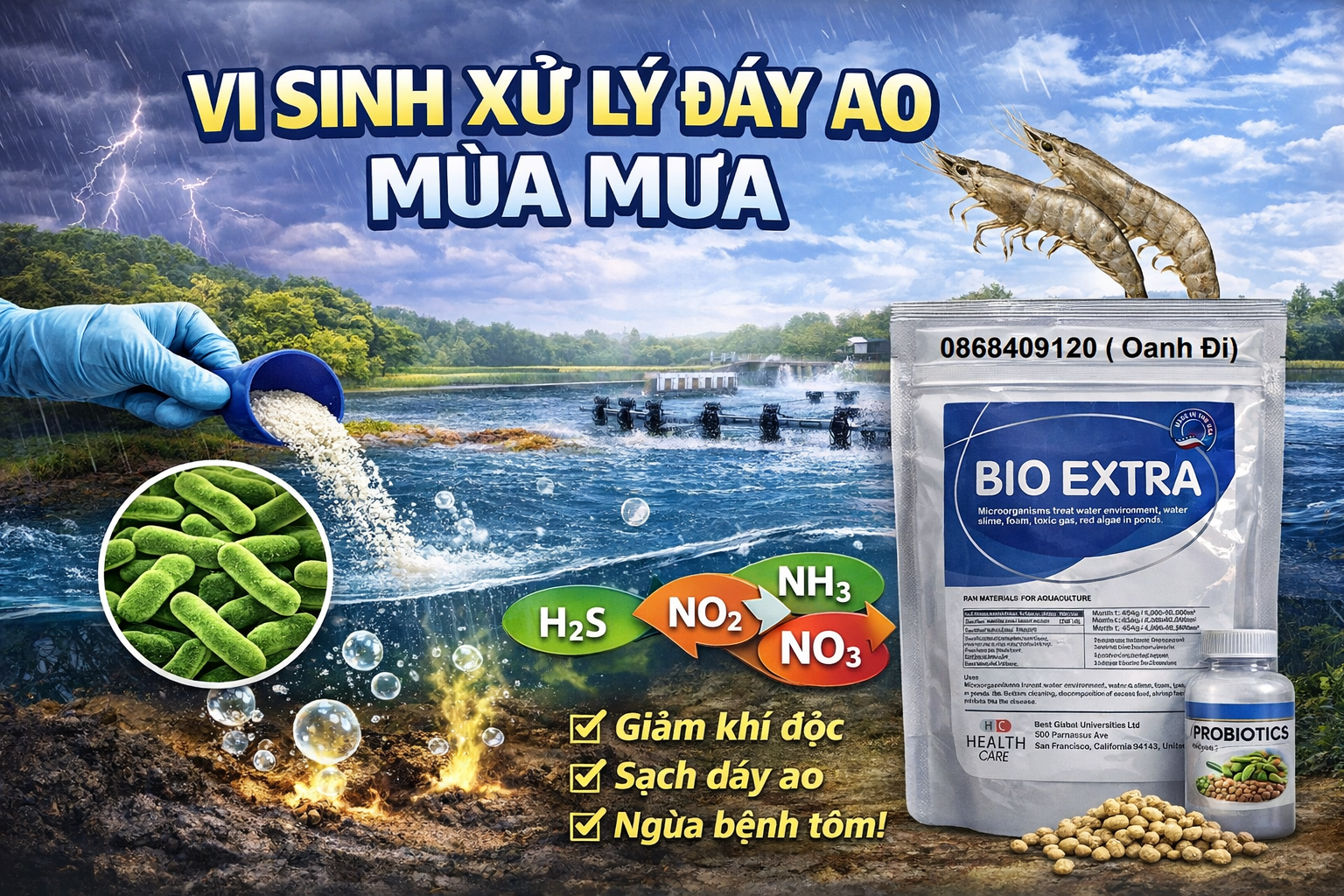 vi sinh xử lý đáy