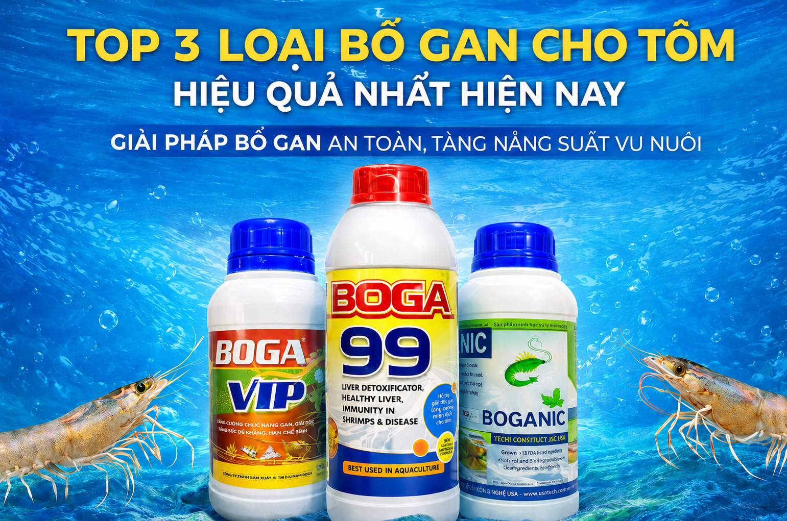 Top 3 loại bổ gan