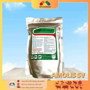 AMOLIS SV99 đặc trị xuất huyết, hoại tử trên gia súc, gia cầm và ĐVTS