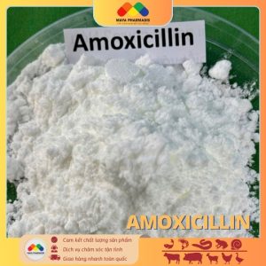 AMOXICILLIN 98%