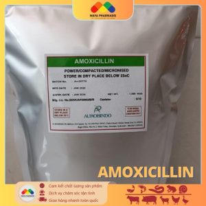 Amoxicillin Gói 1kg
