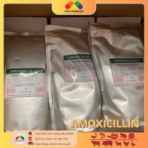 Amoxicillin – Kháng Sinh Hiệu Quả Trong Nuôi Trồng Thủy Sản Và Chăn Nuôi