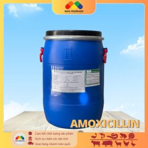 AMOXICILLIN Ấn