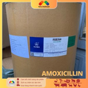 AMOXICILLIN NCPC nguyên liệu 98% thùng 25kg