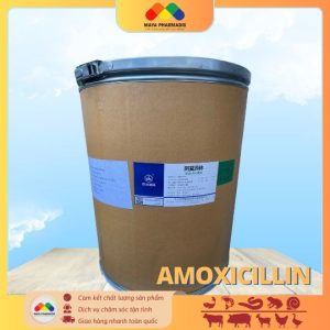 AMOXICILLIN NCPC nguyên liệu 98% thùng 25kg