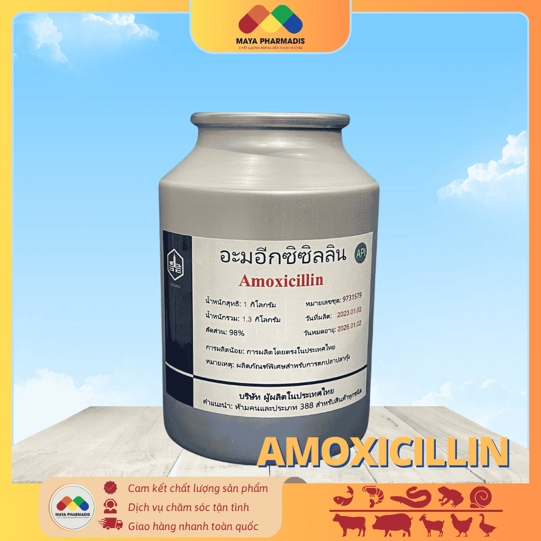 AMOXICILLIN THÁI