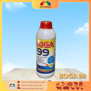 BOGA 99