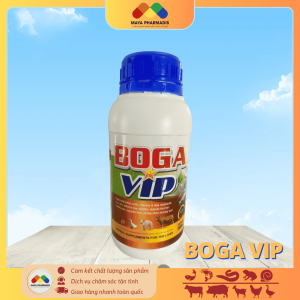 BOGA VIP