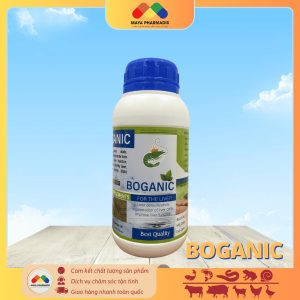 BOGANIC