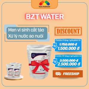 BZT WATER
