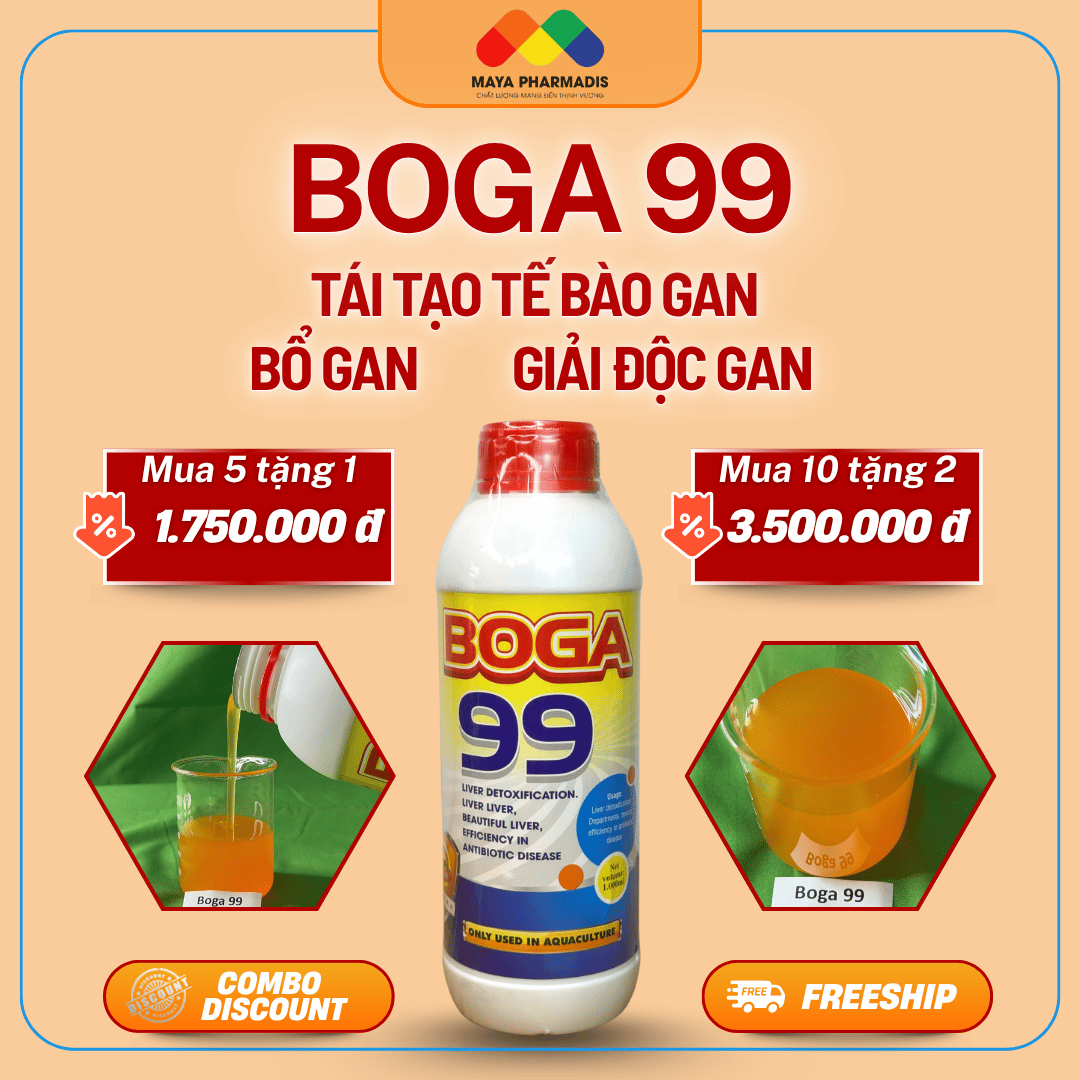 Boga 99