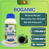 Boganic