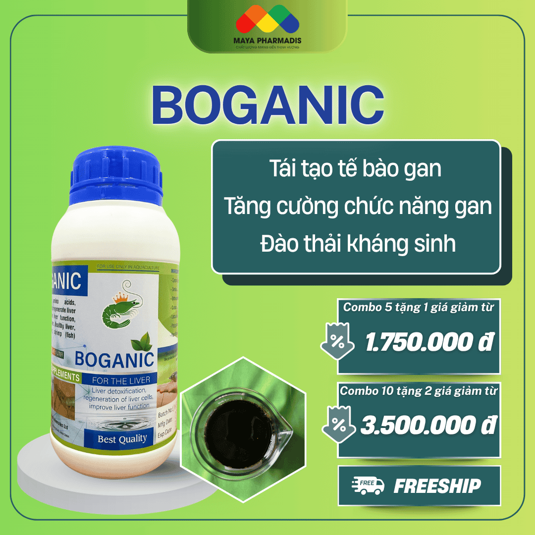 Boganic