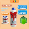 CAL FOST