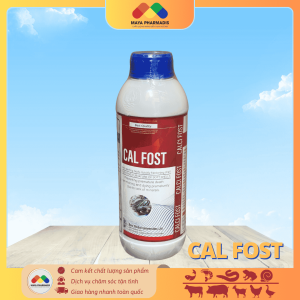 CAL FOST