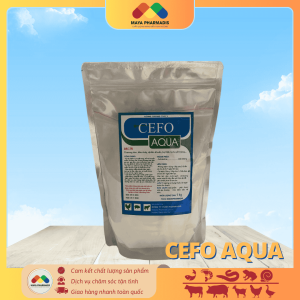 CEFO AQUA