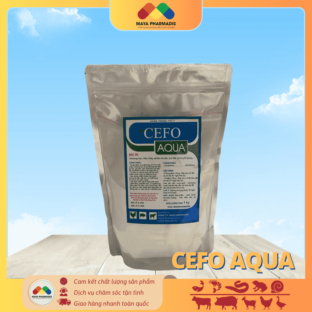 CEFO AQUA