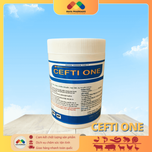 CEFTI ONE