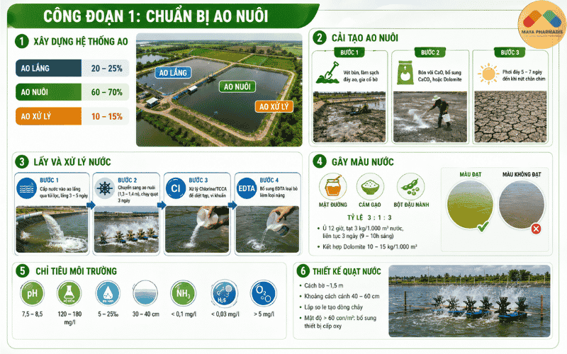 CÔNG ĐOẠN 1: CHUẨN BỊ AO NUÔI