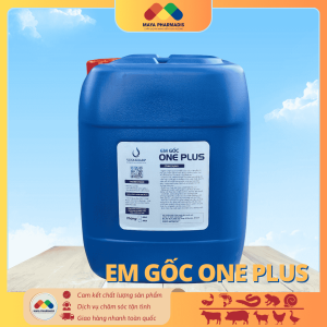 EM GỐC ONE PLUS