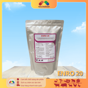 ENRO 20