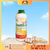 Garlibac