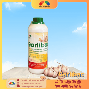 Garlibac