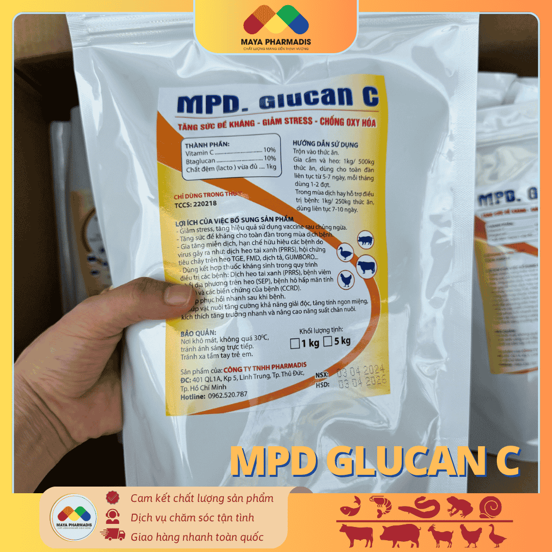MPD Glucan C Tăng sức đề kháng – Giảm stress – Chống oxy hóa - Ảnh 3