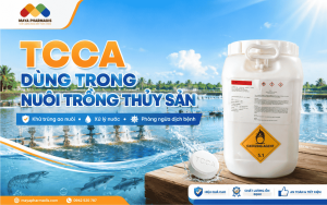 TCCA trong nuôi trồng thuỷ sản