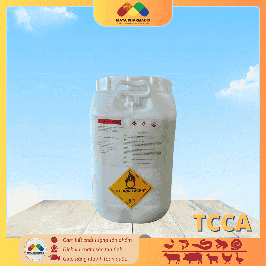 TCCA