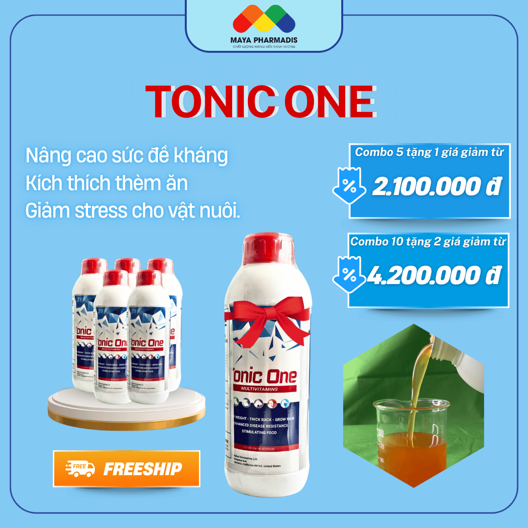 TONIC ONE