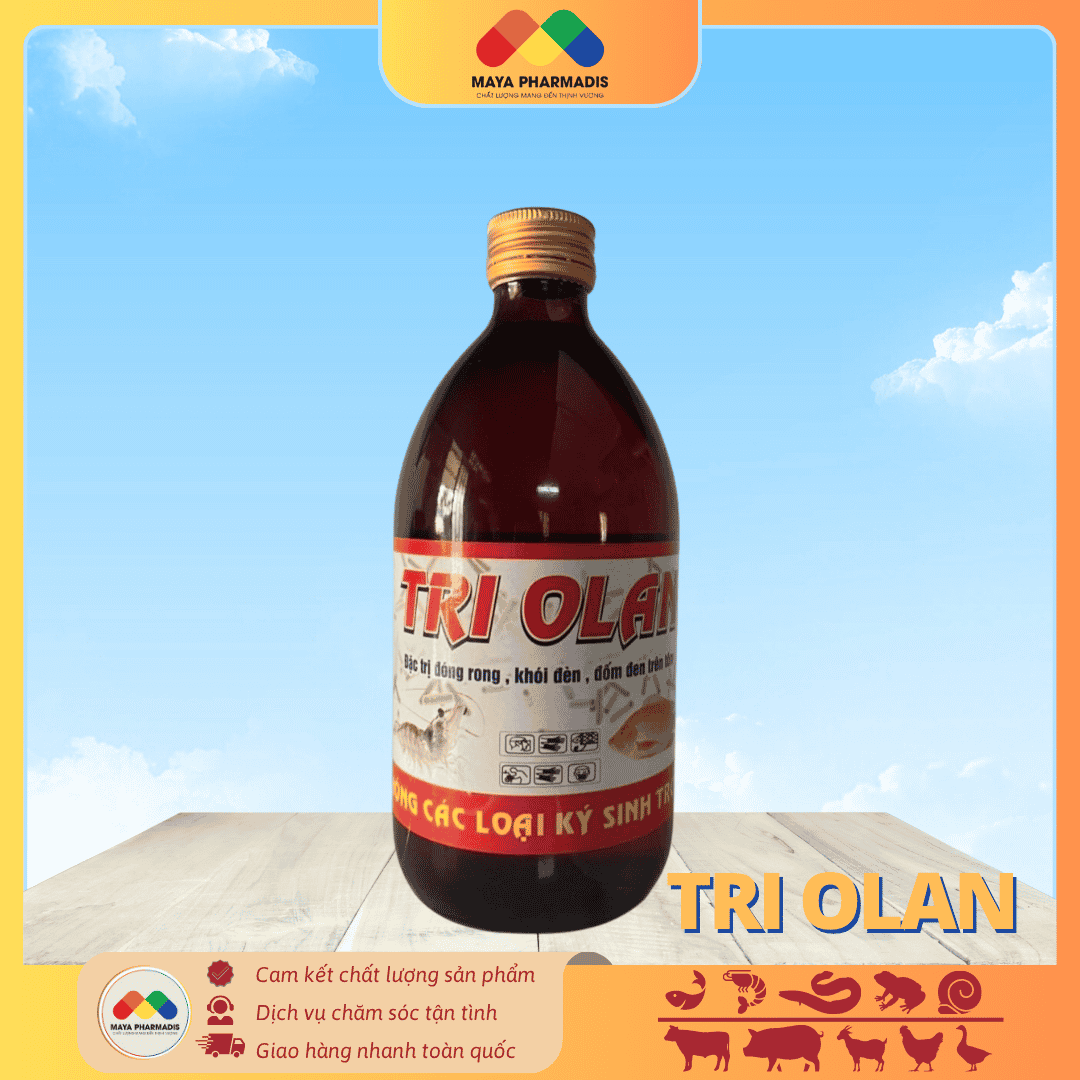 TRI OLAN