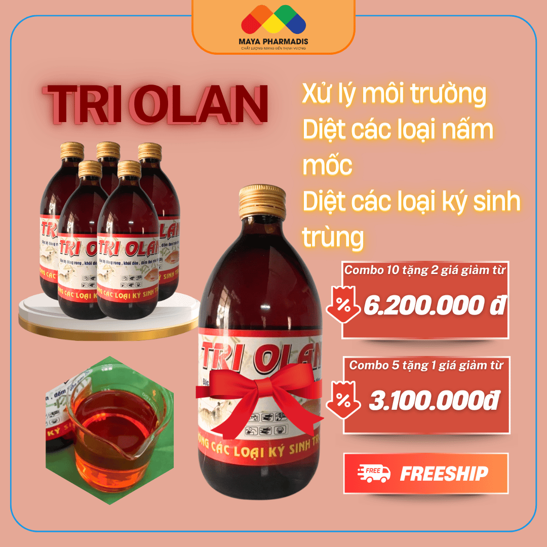 TRI OLAN