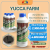 YUCCA FARM