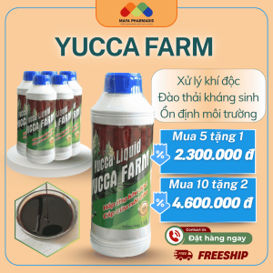 YUCCA FARM