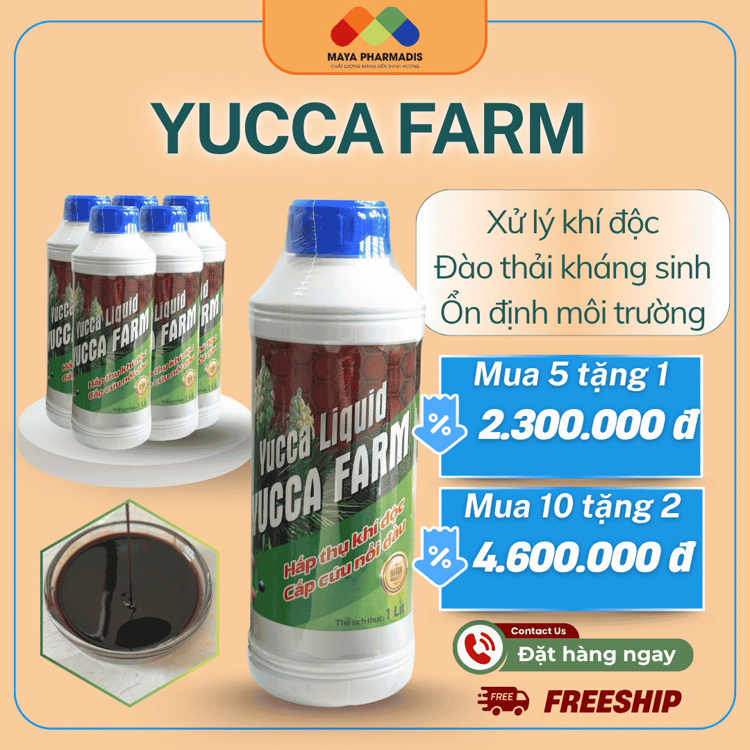 YUCCA FARM