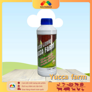 Yucca farm