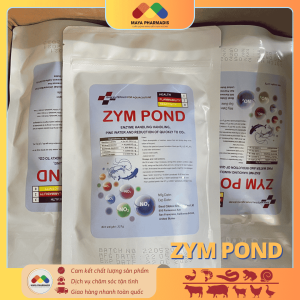 ZYM POND