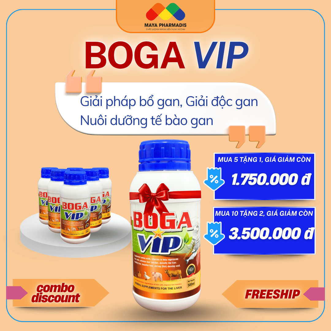 boga vip