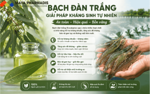 Bạch Đàn Trắng Trong Nuôi Tôm: Giải Pháp Thảo Dược Hỗ Trợ Kiểm Soát Vi Khuẩn