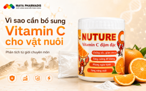 Vì sao cần bổ sung Vitamin C cho vật nuôi