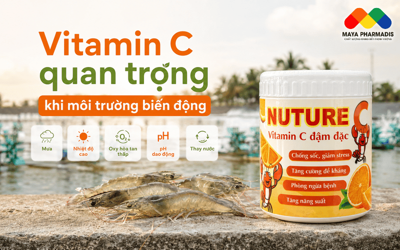 Vitamin C quan trọng cho vật nuôi