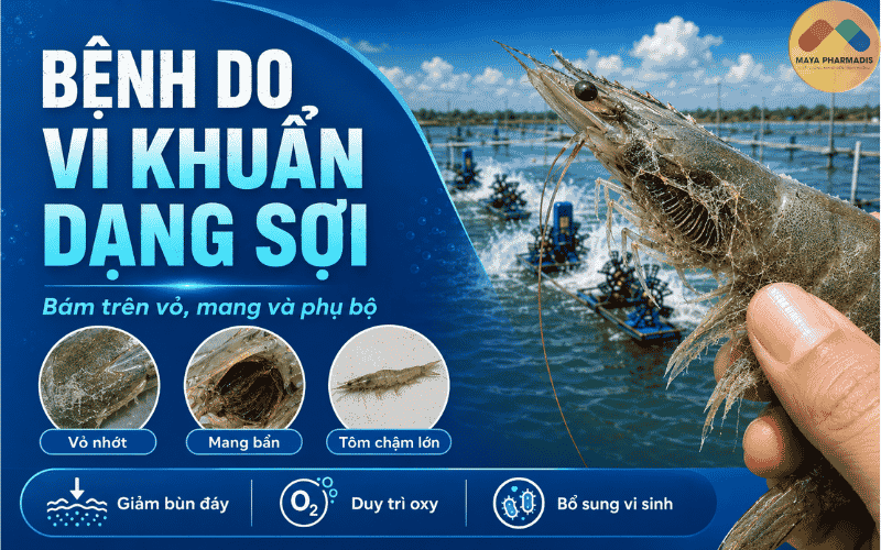 Bệnh do vi khuẩn dạng sợi