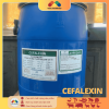 CEFALEXIN