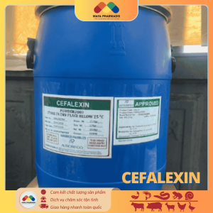 CEFALEXIN