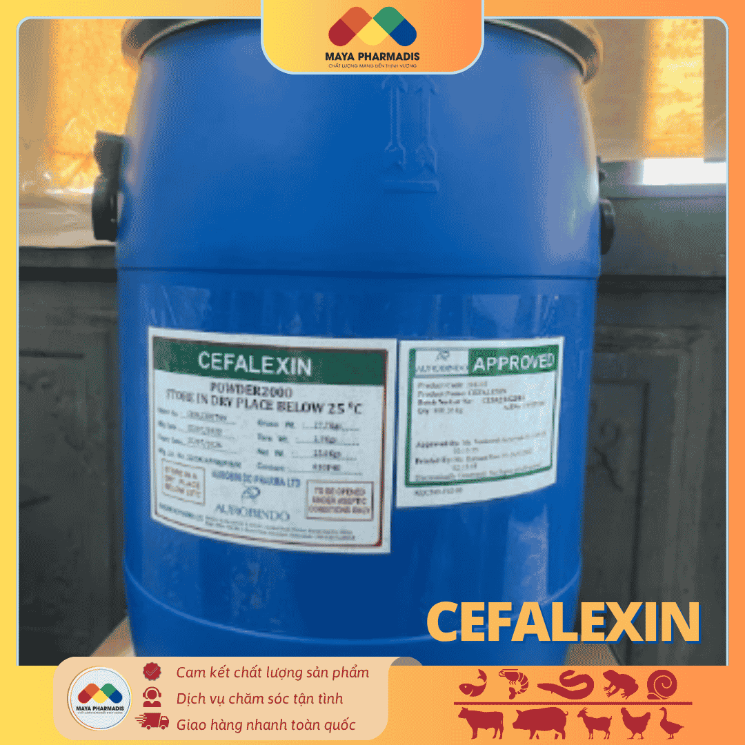 CEFALEXIN