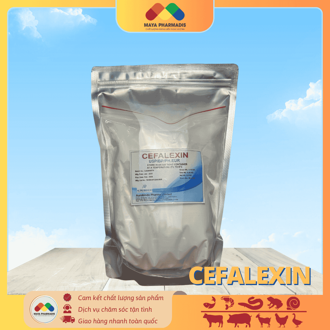 CEFALEXIN