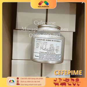 CEFEPIME