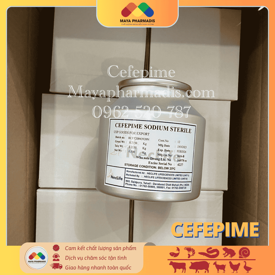 CEFEPIME