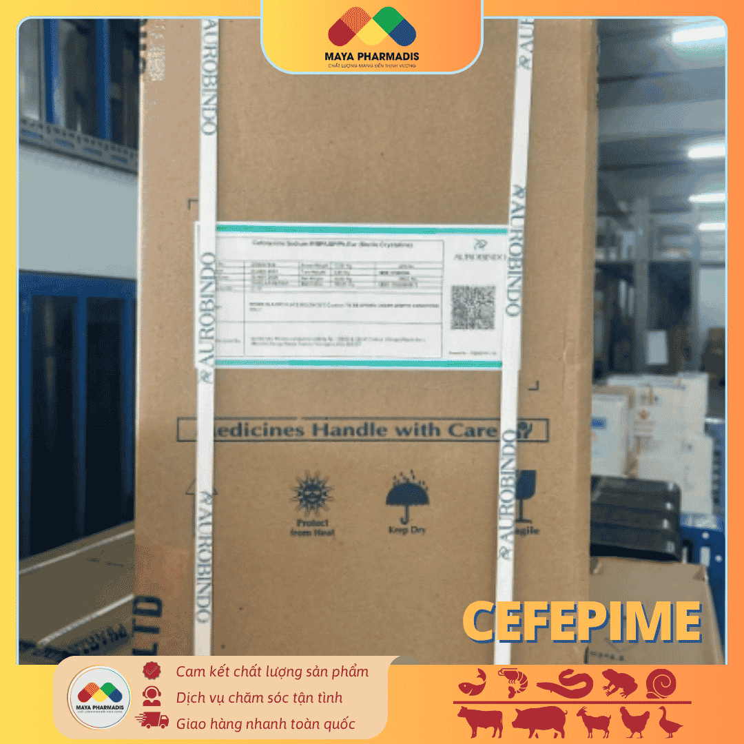 CEFEPIME